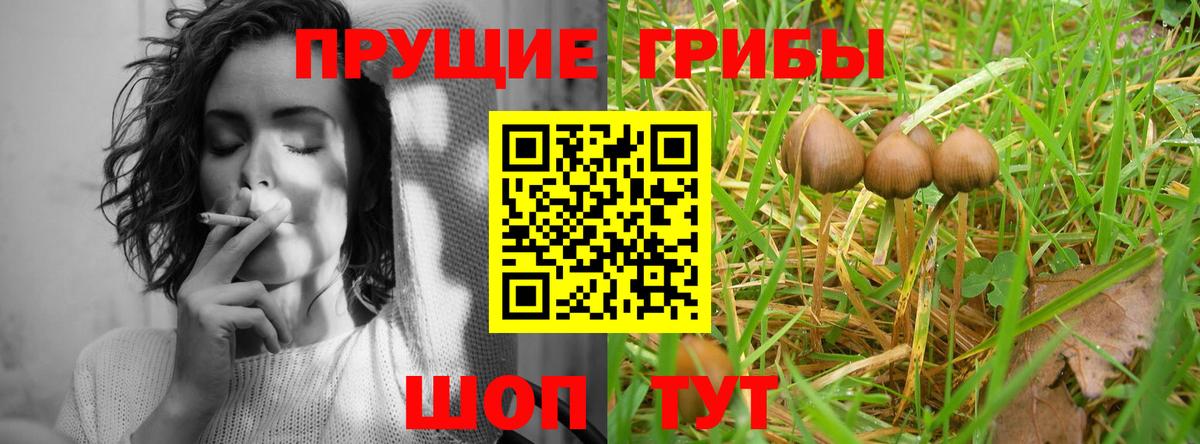 Галлюциногенные грибы мицелий Сердобск